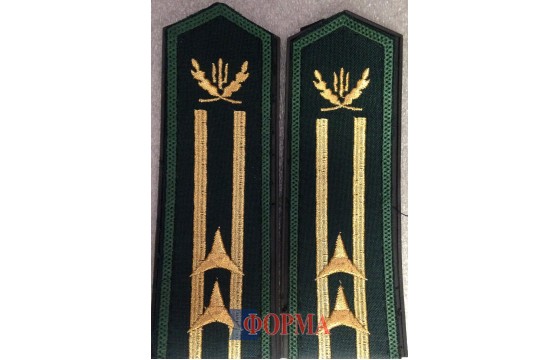 Погони лісової охорони старші 2 зірки